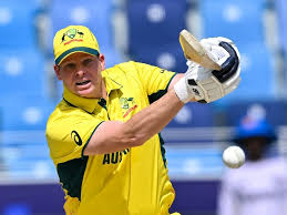 steve smith